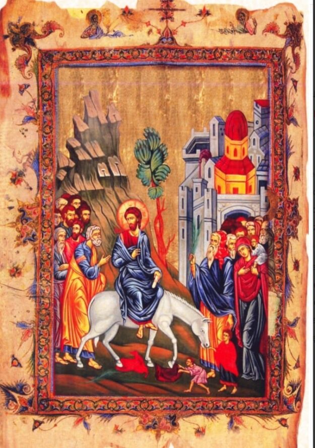 57053749_354273995182738_6733384563977879552_n